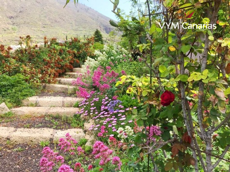 郊外 房屋/别墅 Tejina de Isora, Guia de Isora