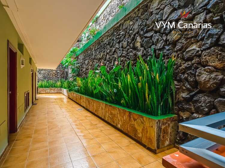 Wohnung – Studio Puerto De La Cruz, Puerto de la Cruz