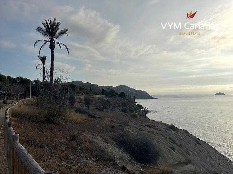 Apartamento Platja de Torres, Area de la Vila Joiosa / Villajoyosa