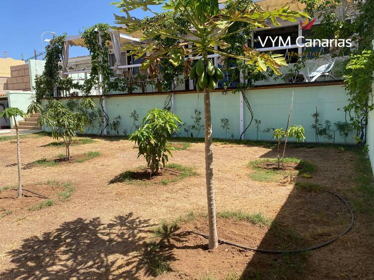 House / Villa – Bungalow Sueño Azul, Callao Salvaje, Adeje