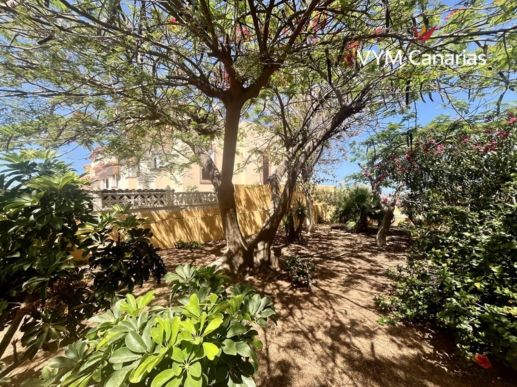 Wohnung Torviscas – Roque del Conde, Adeje