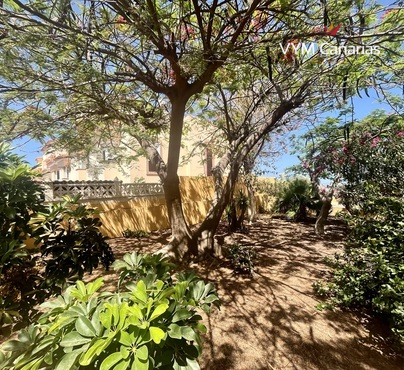 Apartment Torviscas – Roque del Conde, Adeje