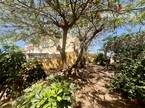 Wohnung Torviscas – Roque del Conde, Adeje
