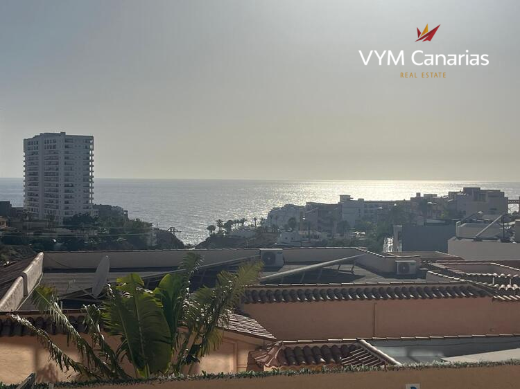 Herenhuis Marina Palace, Playa Paraiso, Adeje