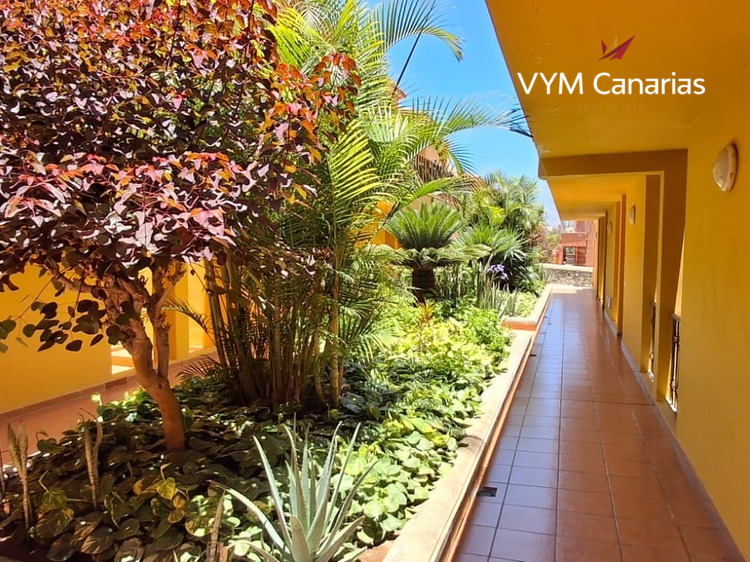 Apartament Atlantico, Costa del Silencio, Arona