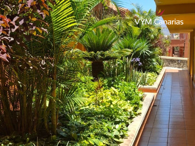 Apartament Atlantico, Costa del Silencio, Arona