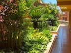 Apartament Atlantico, Costa del Silencio, Arona