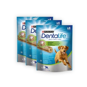 2+1 DENTALIFE Daily Oral Large