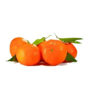 Μανταρίνια Νόβα