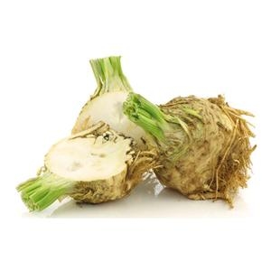 Σελινόριζα