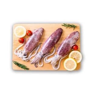 Καλαμάρια Ολοκ/ρα κτψ