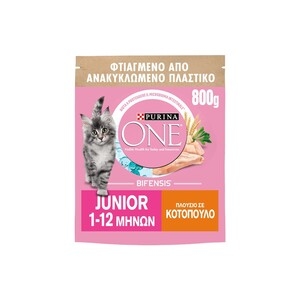 PURINA One Junior