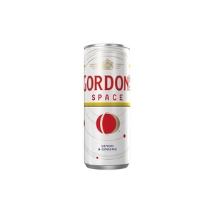 GORDON΄S Space