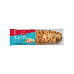 PANINI Μετσοβίτικο Γαλοπούλα