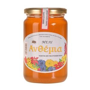 ΑΝΘΕΜΙΑ Εισαγωγής