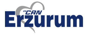 canerzurumturizm.com favicon