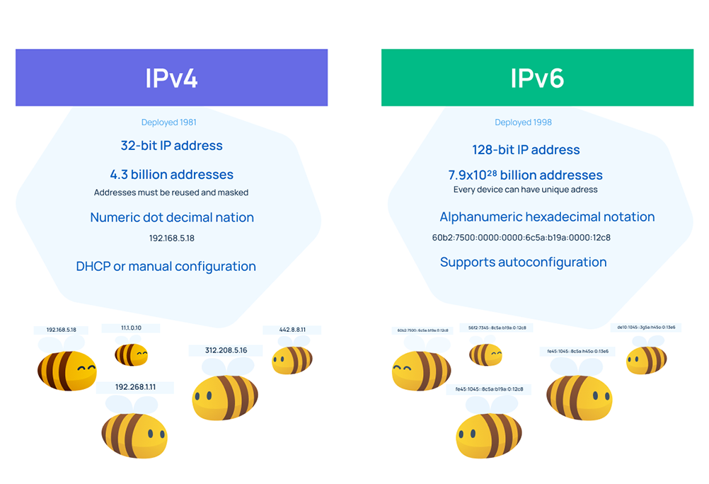 ipv4 ipv6