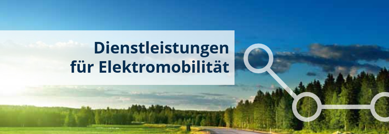 Tim Ruhoff in der Studie „Dienstleistungen für Elektromobilität“