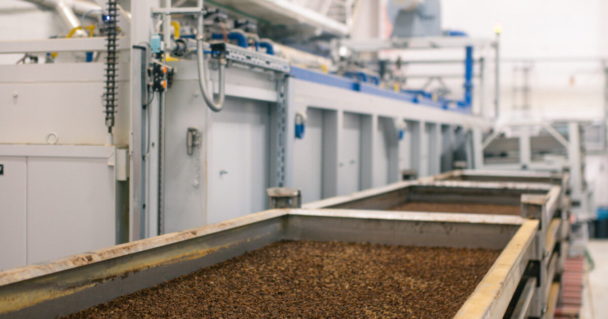 Reploid-Wie-industrielle-Kreislaufwirtschaft-mit-Insekten-gelingt
