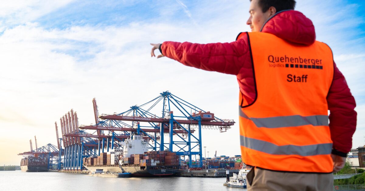 Wenn-Frachter-Kurs-wechseln-Pferdestreu-f-r-Dubais-Araberhengste-landet-pl-tzlich-in-Afrika