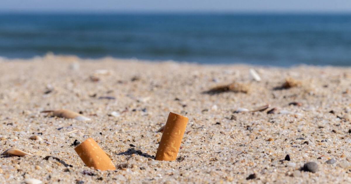 cigarette the beaches Pollution: Special cigarette bins help fight pollution on Tallinn beaches