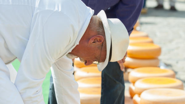 Gouda Cheese Market