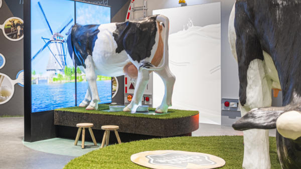 CHEESE EXPERIENCE JAN 2020 2302