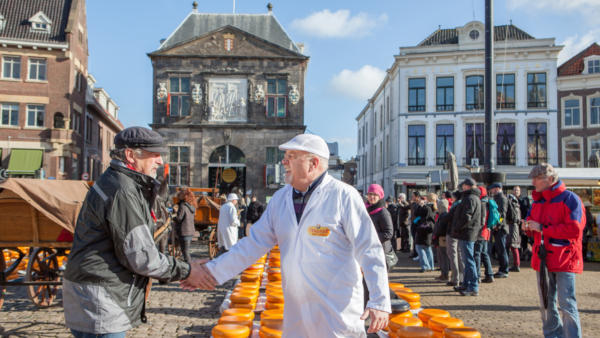 Gouda Cheese Market