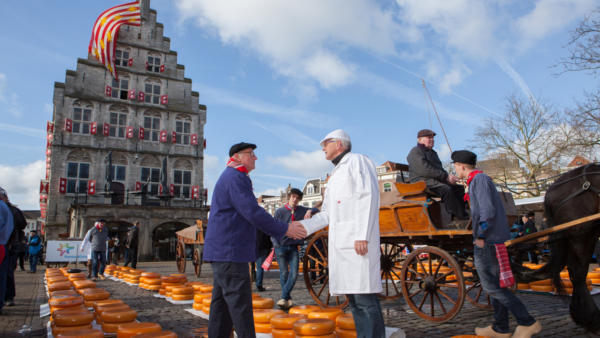 Gouda Cheese Market