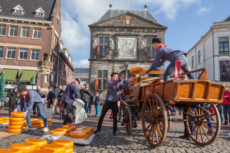 Gouda Cheese Market