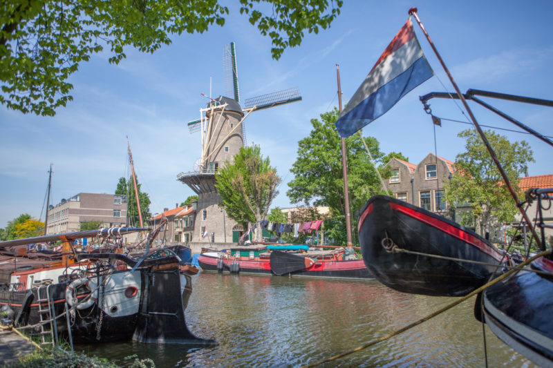 Mill De Roode Leeuw