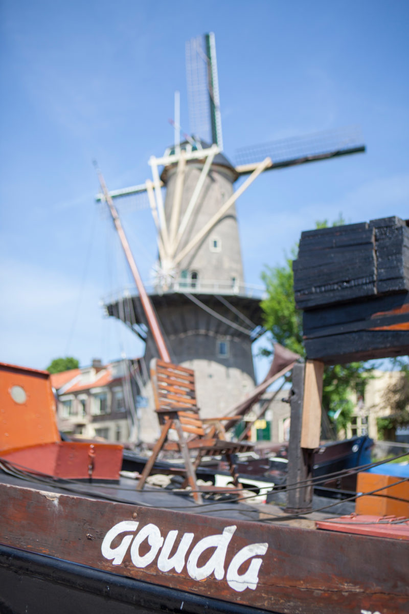 Molen De Roode Leeuw