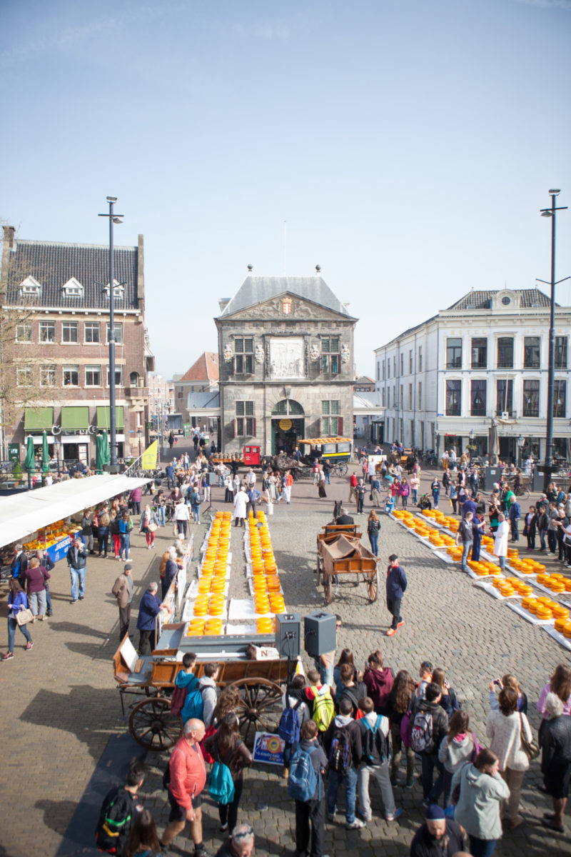 Gouda Cheese Market