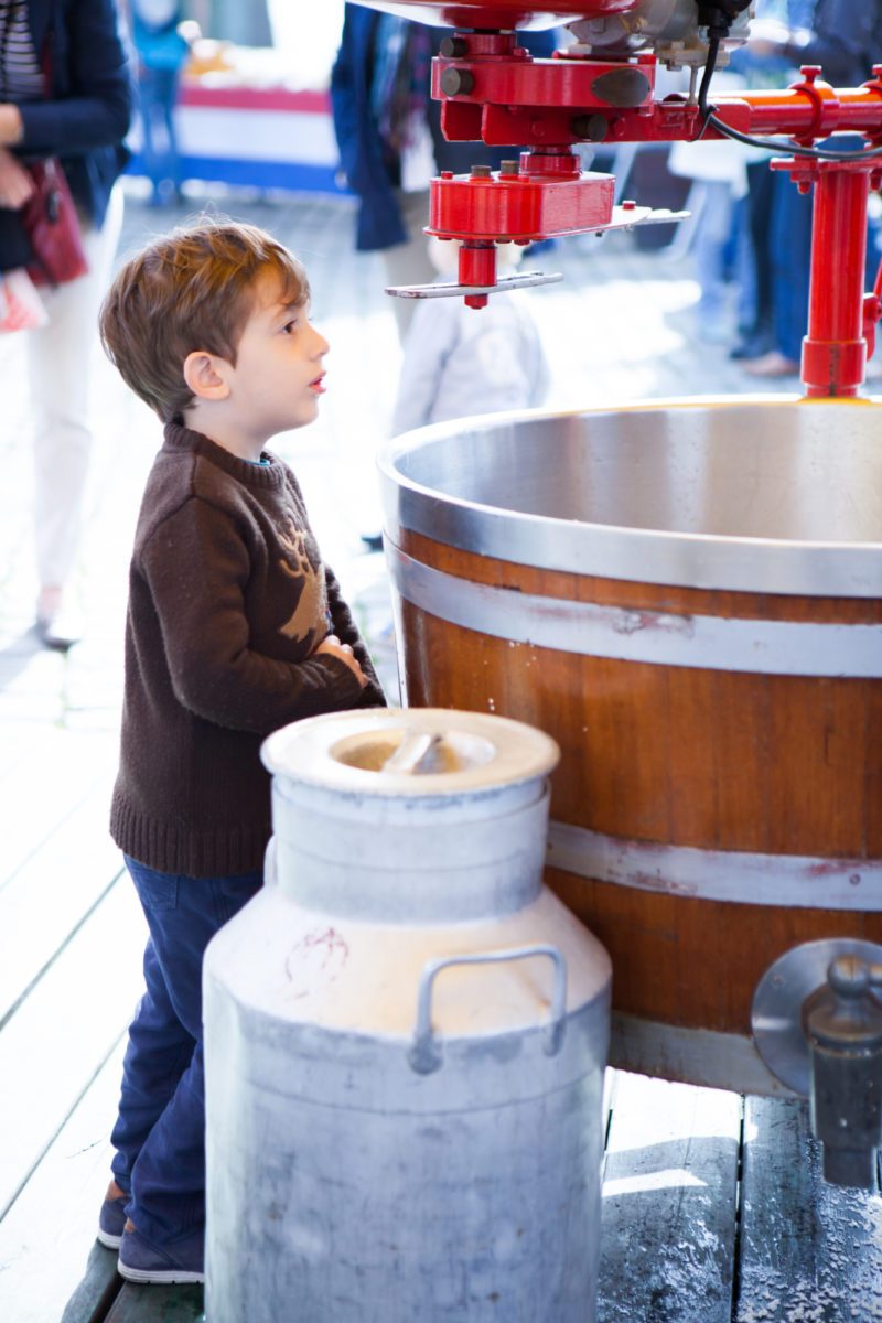 Gouda Cheese Market