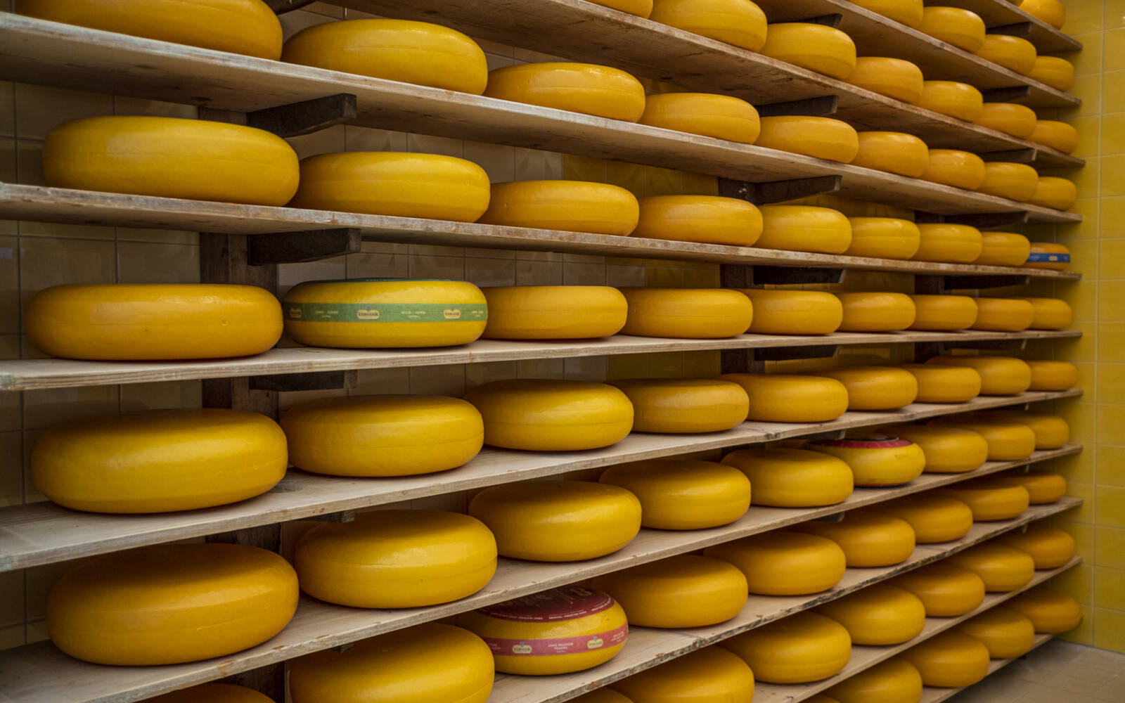 	Het Vlaamse De Kampeertoerist ontdekt de veelzijdigheid van Gouda