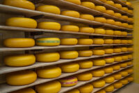 CHEESE EXPERIENCE DEC 2019 1408