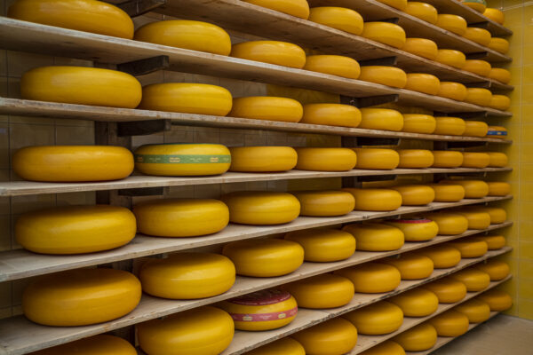 CHEESE EXPERIENCE DEC 2019 1408