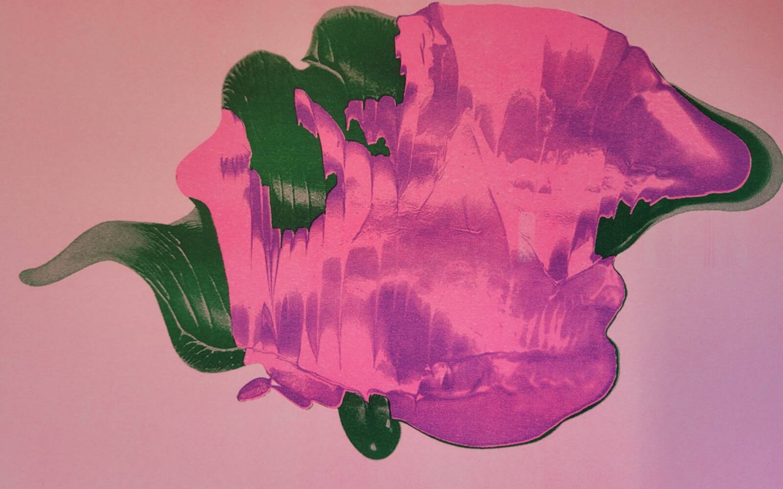 	Expositie: Harmonie in kleur
