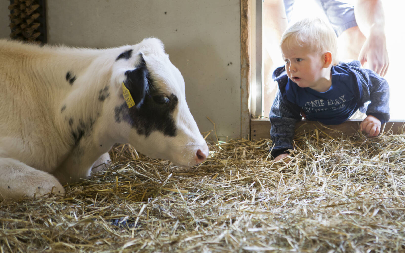 	Volop activiteiten op de kinderboerderij tijdens de zomervakantie