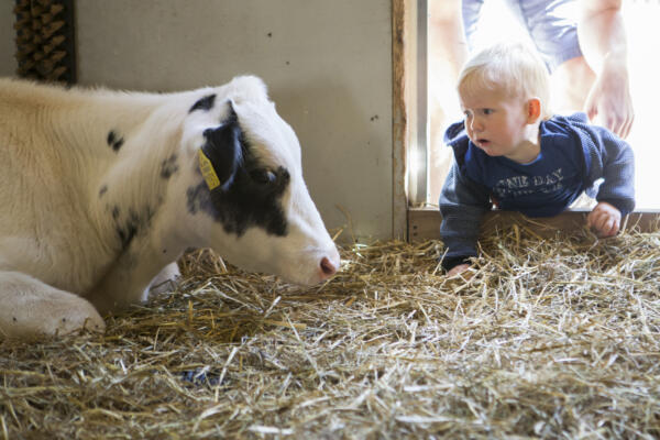 VVV Kinderboerderij 001