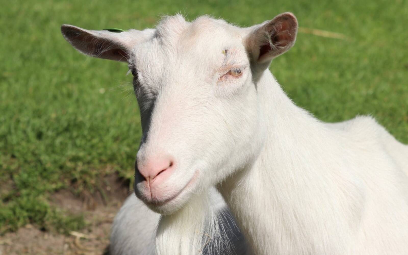 	Volop activiteiten op de kinderboerderij tijdens de voorjaarsvakantie