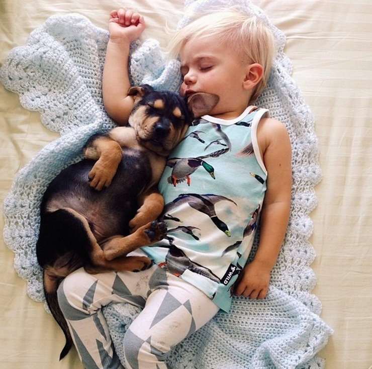 theo i beau, magiczna przyjaźń szczeniaka z dzieckiem