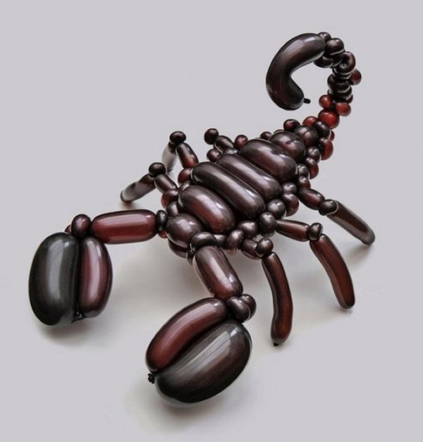 Rob Driscoll - My daily balloon project