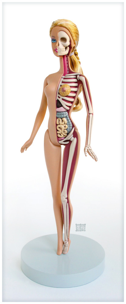 Jason Freeny 'Dissected"