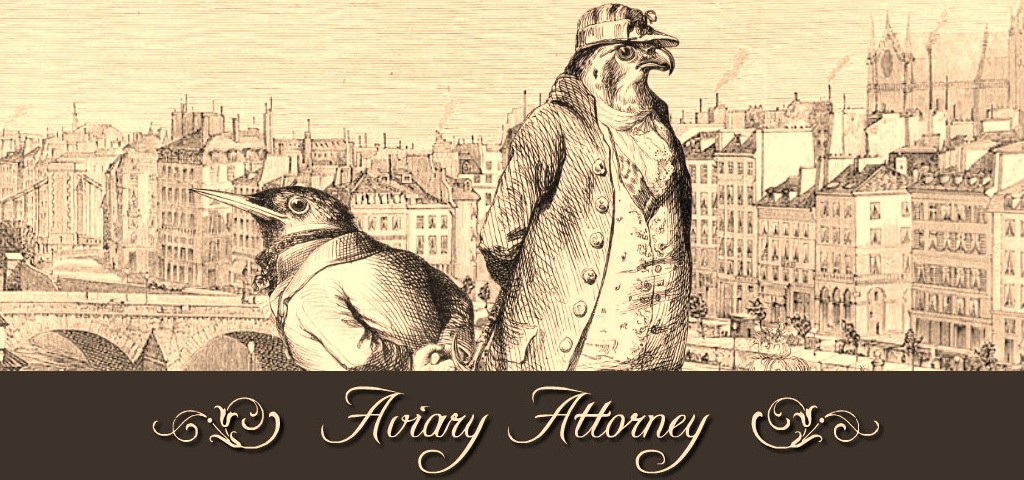 Aviary-Attorney-1024x480