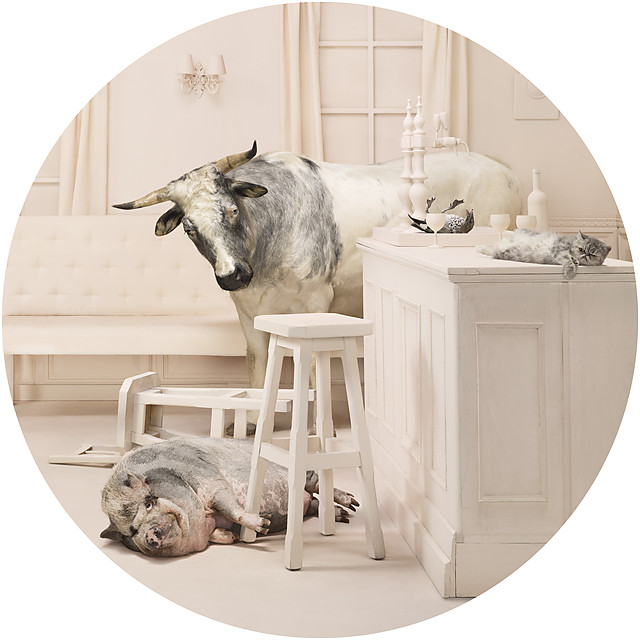 frieke-janssens-3