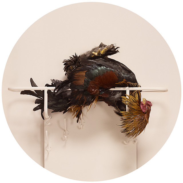 frieke-janssens-5