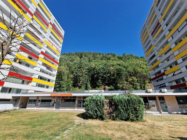 Vielseitig Nutzbare Gewerbeflche mit Auenbereich in Waldkirch!