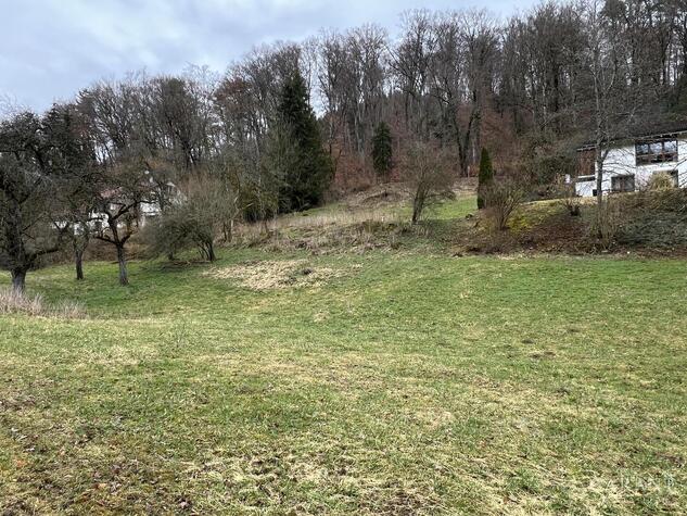 Attraktives Baugrundstck in ruhiger Ortsrandlage von Weizen sucht Bauherrn!