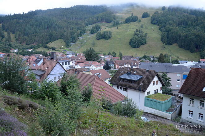 Sonniger Baugrund in Todtnau